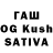 Alfa_PVP VHQ Vivek Shaw