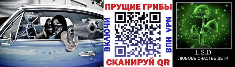закладка МЕГА ссылка Галлюциногенные грибы Psilocybine cubensis Кувандык